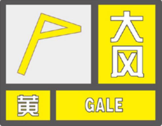 最新黄资料，探索、警示、反思之路