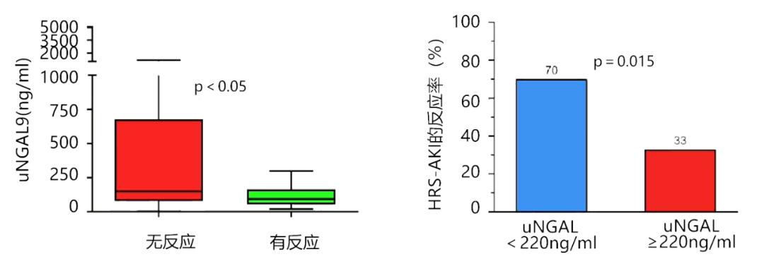 全球热点事件深度解析与最新热点速递