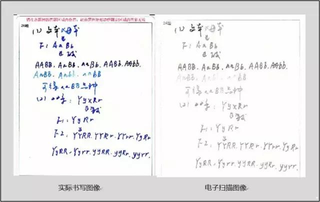 最新作图技术，开启未来视觉艺术无限探索之旅